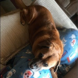 Meet your Posher, Alexa